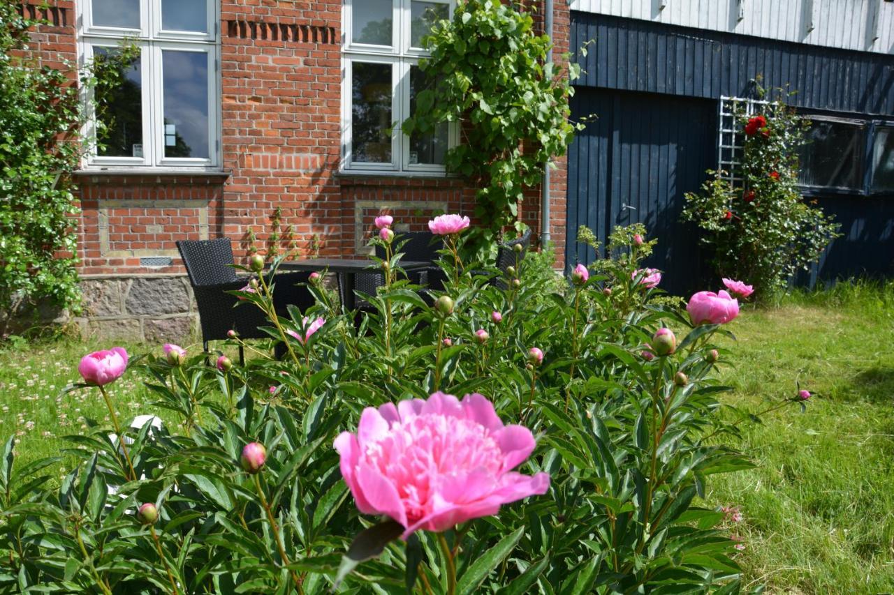 Kirkely Bed And Breakfast Vester Ulslev Exterior photo